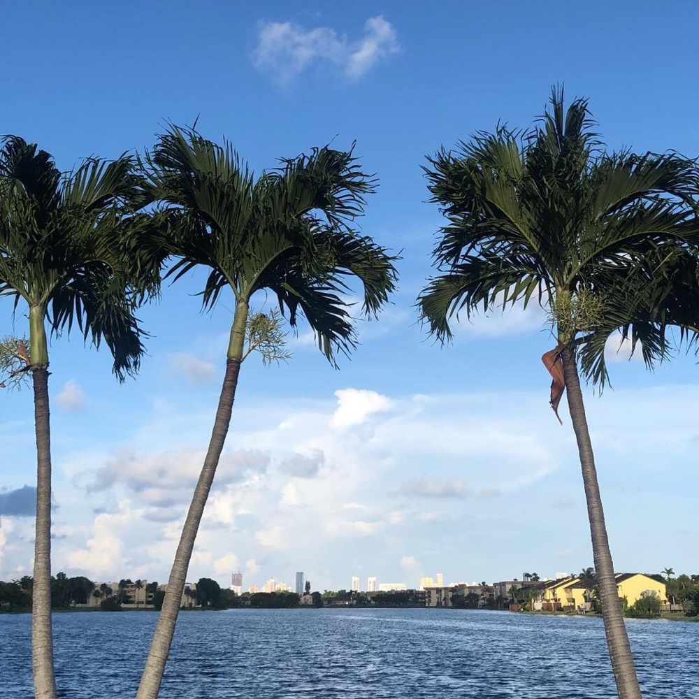 Meet your Posher, Deron